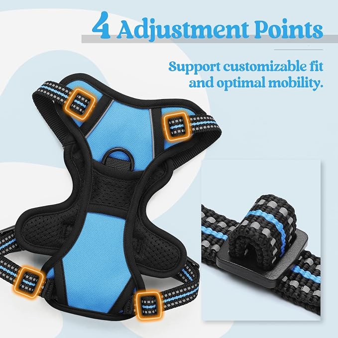 rabbitgoo Dog Harness, No Pull for Small Dogs with 2 Leash Clips, Pet Vest | No Choke with Handle, Adjustable Soft Padded, Reflective, Easy Control for Walking, Blue, X-Small