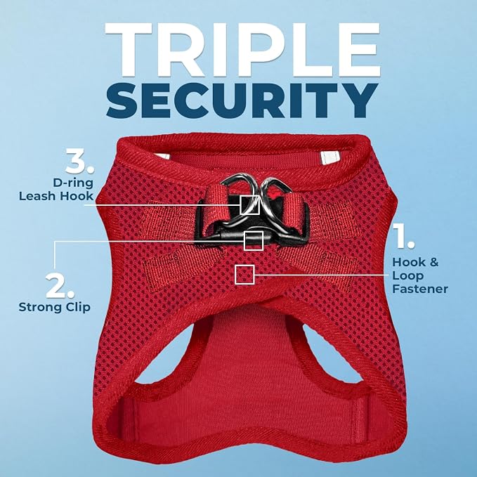 Best Pet Supplies Voyager Step-in Air All Weather Mesh Harness and Reflective Dog 5ft Leash Combo with Neoprene Handle, for Small, Medium and Large Breed Puppies - Red, Large