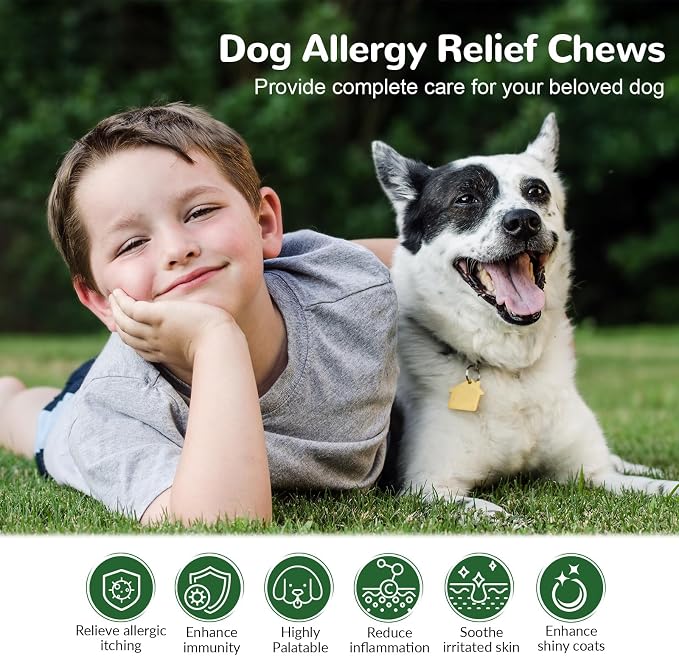 Dog Allergy Chews for Itchy Skin, Paw Licking & Immune Support - 150ct