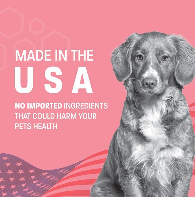 Probiotic Oral Paste for Dogs & Cats - Support Healthy Digestion Probiotic Gel - Anti Diarrhea for Dogs and Cat Probiotics for Diarrhea - for Traveling, Kenneling and Training - 30 cc