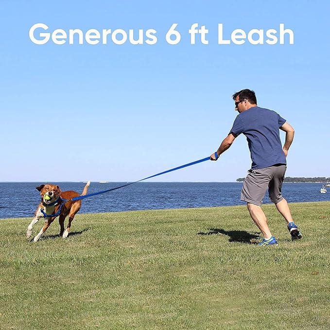 Pawtitas Purple Dog Leash 6 ft M/L Reflective Durable Lightweight Recycled Lead for Medium or Large Dogs and Puppies
