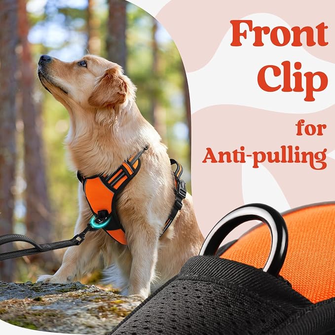 rabbitgoo Dog Harness Medium Sized, Updated Easy On & Off with 3 Buckles | No Pull No Choke, Walking with 2 Clips and Handle, Adjustable Soft Reflective, Orange, Medium