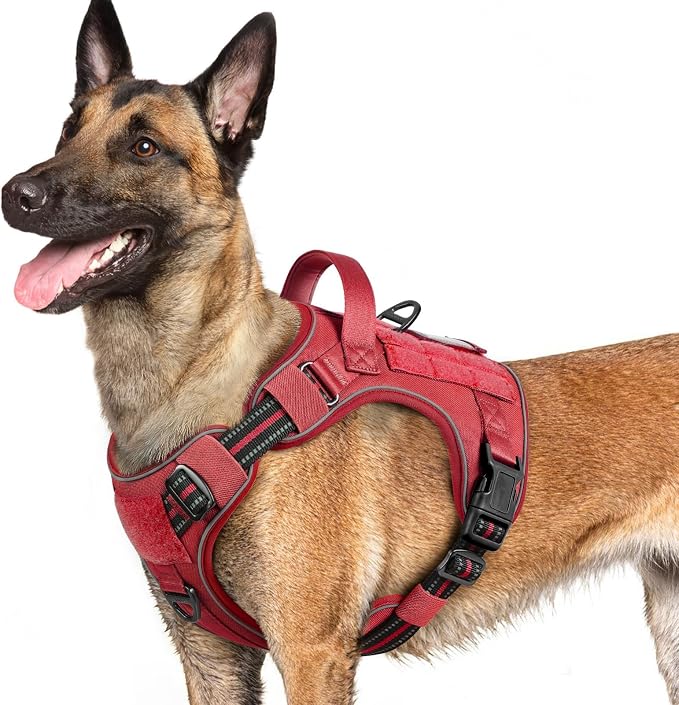 rabbitgoo Tactical Dog Harness for Large Dogs, No Pull Service Pet Vest | Military Molle System & Easy Control Handle, Adjustable and Reflective for Walking and Training, Red, Large