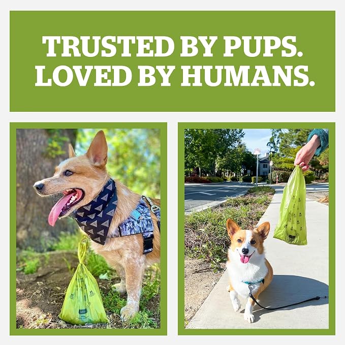 Pogi’s Dog Poop Bag Dispenser – Holder with Metal Carabiner for Leashes, Includes 15 Fresh Scented Bags