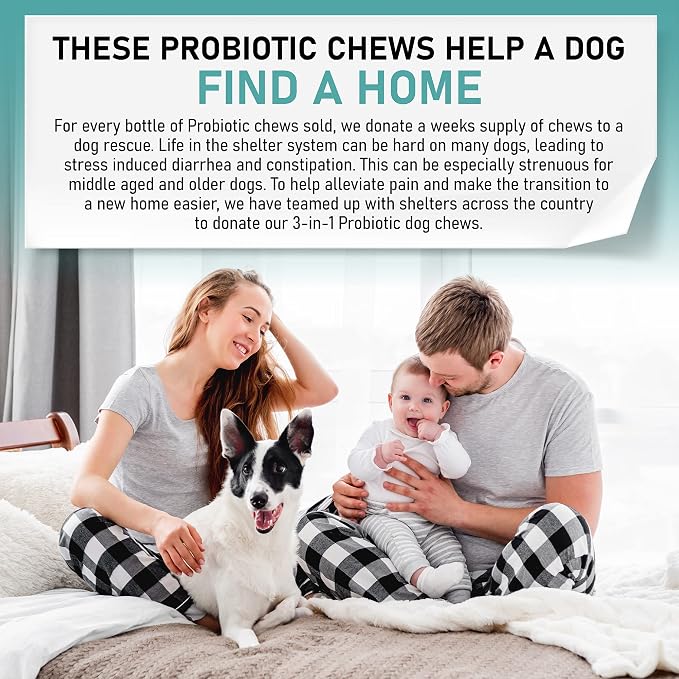 Probiotic Chews for Dogs, Support Digestive Health, Dog Probiotics and Digestive Enzymes, Dog Probiotic Chews, Probiotic Dogs, Puppy Probiotic, Pet Probiotics for Dogs - 120 Soft Chews