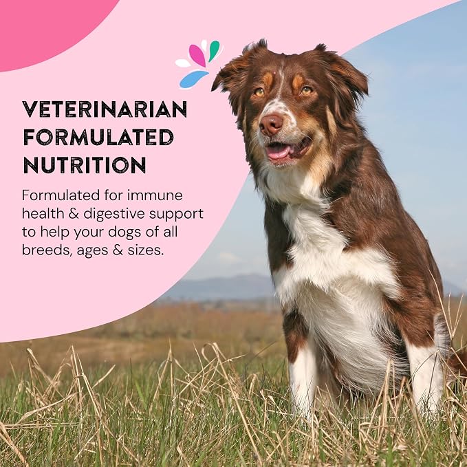 Hip & Joint Supplements for Dogs | Helps Joint Health & Mobility Support for Recovering and Senior Dogs | Natural Ingredients, Tasty Kibble Dog Food Topper | 21 Count Pack