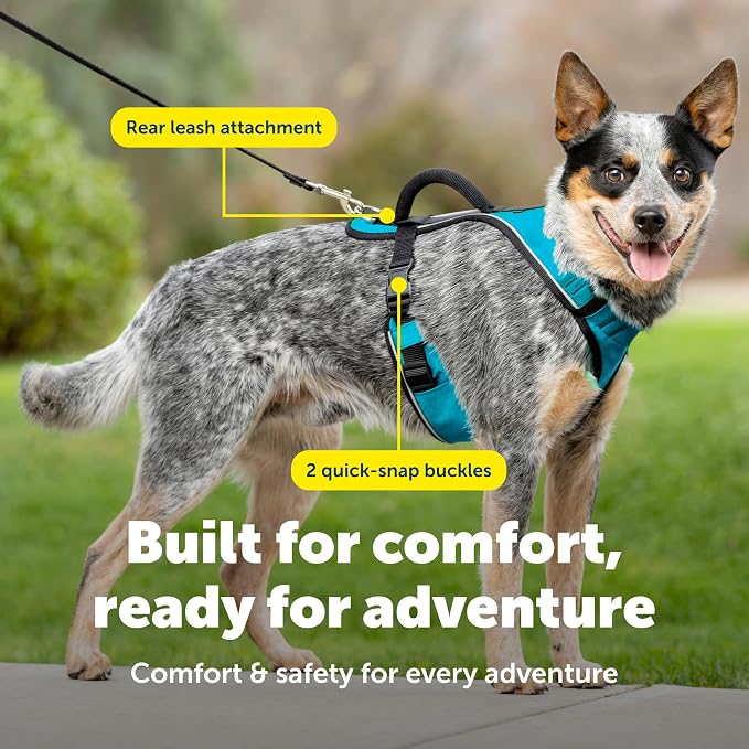 PetSafe EasySport Dog Harness, Teal Blue, Medium | Padded, Elastic Neckline Harness for Active Dogs, Reflective Piping for Visibility, Top Control Handle, Rear Leash Clip