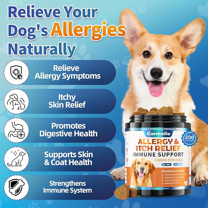 Dog Allergy Relief + Carmelie Probiotics for Dogs – 400 Soft Chews, Itchy Skin & Paw Licking Relief, Digestive Health, Immune Support, Seasonal Allergies, Chicken Flavor
