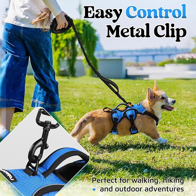 rabbitgoo Escape Proof Dog Harness for Small, No Pull with Lift Handle | No Escape, Full Soft Padded, Reflective Adjustable Vest, Leash Clip for Walking Hiking Training, Blue, Small