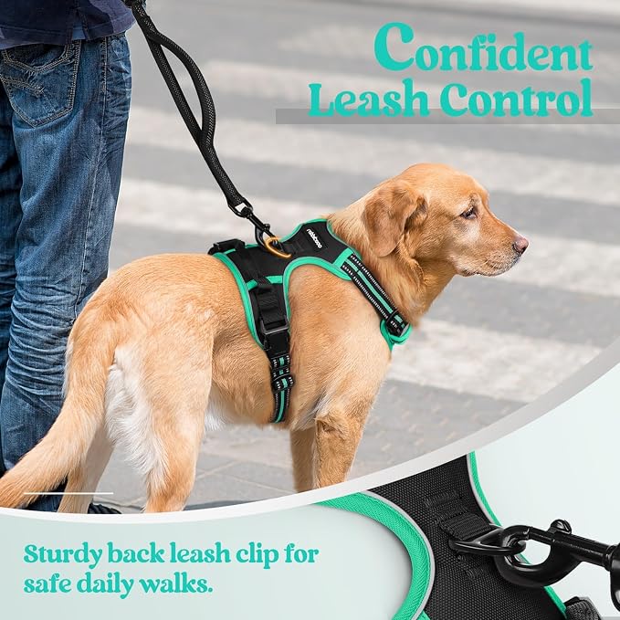 rabbitgoo Dog Harness, No Pull for Small Dogs with 2 Leash Clips, Pet Vest | No Choke with Handle, Adjustable Soft Padded, Reflective, Easy Control for Walking, Black & Turquoise, Small