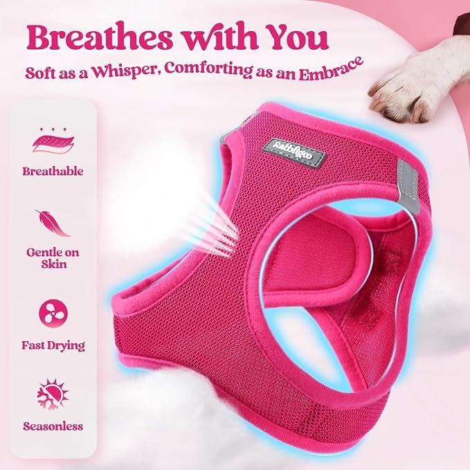 rabbitgoo Dog Harness Small Sized and Leash Set, Step-in Puppy Pet Vest | Light, Soft, Breathable Air Mesh, Easy on and Remove with Hook & Loop, Secure Reflective for Walking, Rose Red S