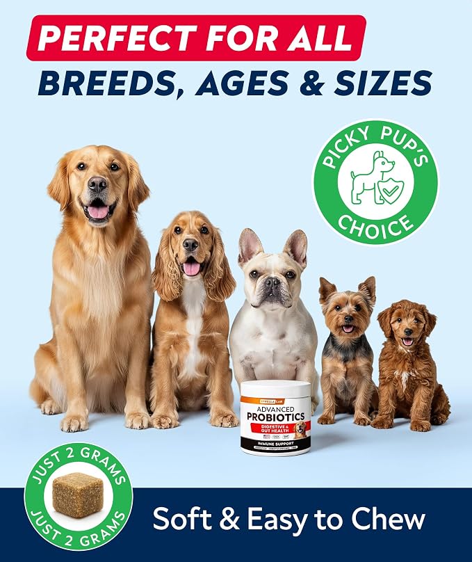 STRELLALAB Advanced Dog Probiotics Chews - 60 Billion CFU per jar