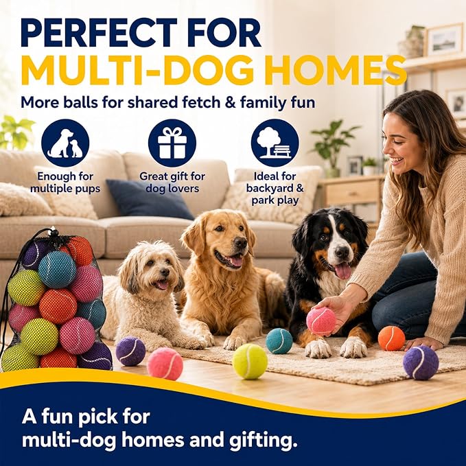INSUM Tennis Balls for Dogs, 2.5'' 20 Pack Bulk Fetch Dog Balls | Durable Non-toxic Safe for Dogs, Great for Fetch, Backyard Play, Multi-dog Families