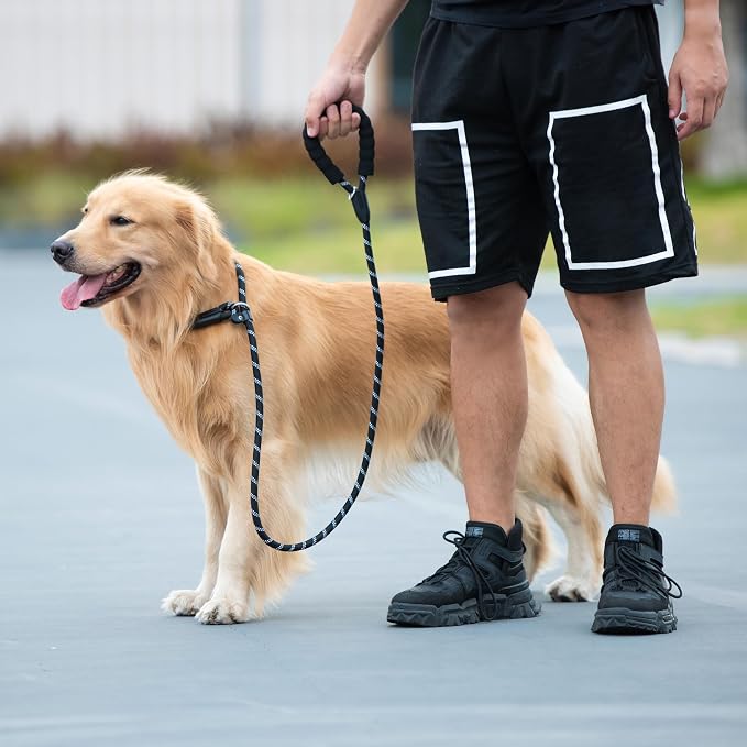 iYoShop Durable Slip Lead Dog Leash, 1/2" x 4 FT, Black | Padded Handle, Reflective Threads, No Pull, Dog Training Leash