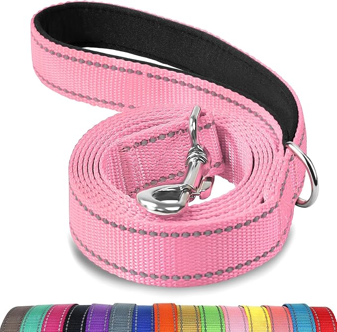 Joytale Reflective Dog Leash for Medium & Large Dogs, 5 FT x 1", Pink | Heavy Duty Nylon Webbing, Padded Handle for Comfort, Visible at Night, for Walking & Training