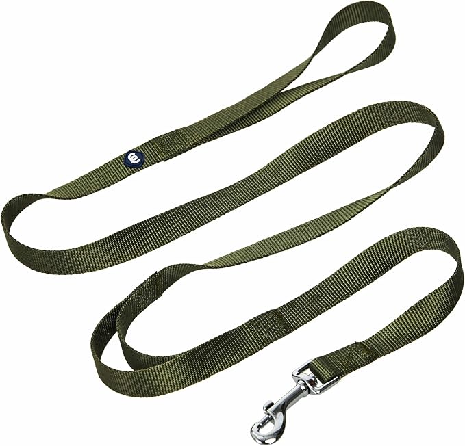Blueberry Pet Essentials Double Handle Dog Leash for Traffic Control | 5ft. x 5/8" Small Dog Leash | Classic Dog Leash with Two Handles for Dogs That Pull | Nylon 2 Handle Dog Leash in Military Green