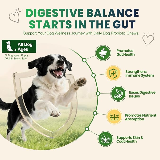 Probiotics for Dogs, Dog Probiotics Chews for Digestive Health &Gut Health