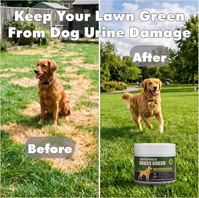 Dog Grass Green Chews for Lawn Burn & Urine Spots, DL-Methionine & Cranberry Supplement, Urine Neutralizer, Supports Urinary Health with Probiotics & Enzymes, 120 Ct