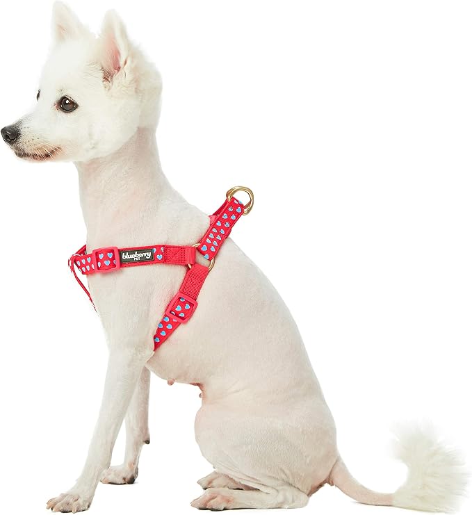 Blueberry Pet Step-in Dog Harness Velvety Heart Flocking Valentine’s Day Adjustable Harnesses for Medium Dogs, Lust Red, Chest Girth 20" - 26"