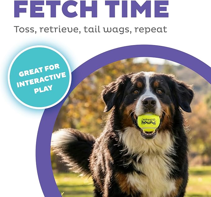 Outward Hound FlyFetch Launch-A-Ball Dog Ball Launcher Toy, 15.5", Medium
