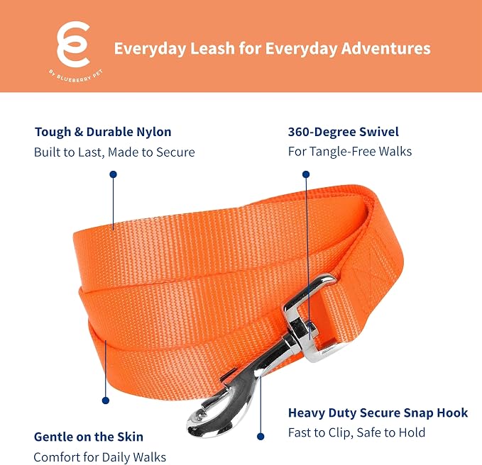 Blueberry Pet Essentials Florence Orange Dog Leash for Small -5' * 5/8" Dogs | Heavy Duty Nylon Lead | Lightweight Puppy & Cat Leash for Walking & Training