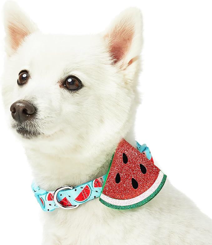 Blueberry Pet Summer Sparkle Dog Collar, Adjustable Medium Size, Neck 14.5"-20", Zesty Fruit Watermelon Blue, Pet Collar with Detachable Accessory