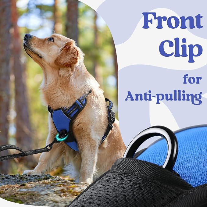 rabbitgoo Dog Harness - No Pull Pet Harness with 3 Buckles, Tactical Bungee Dog Leash with Shock Absorption, Blue, L