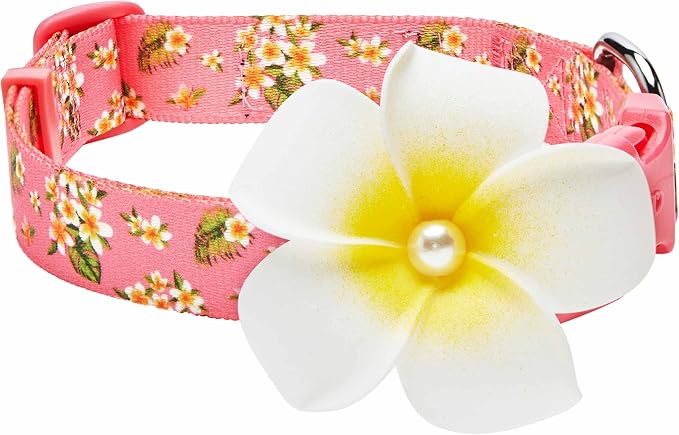 Blueberry Pet Summer Sparkle Dog Collar, Adjustable Medium, 14.5"-20" Neck, Tropical Plumeria Flower Pink, Girl Dog Collars, Puppy Collar, Pink Dog Collar, Dog Collars for Small Dogs, Accessories