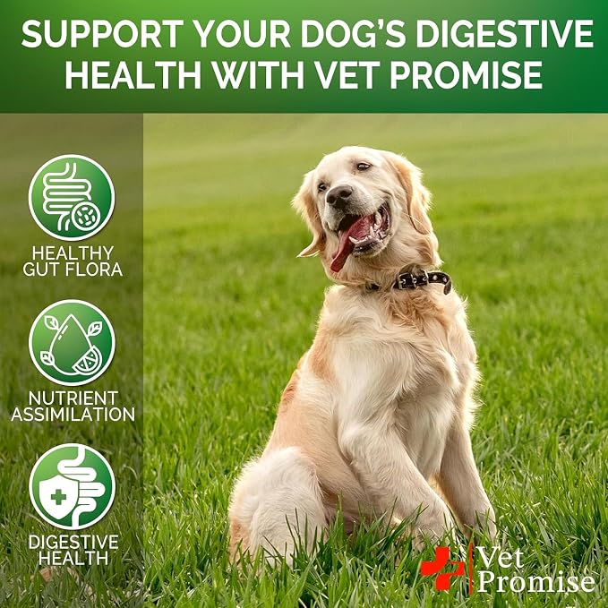 (2 Pack) Probiotics for Dogs - 240 Ct, Dog Probiotics and Digestive Enzymes