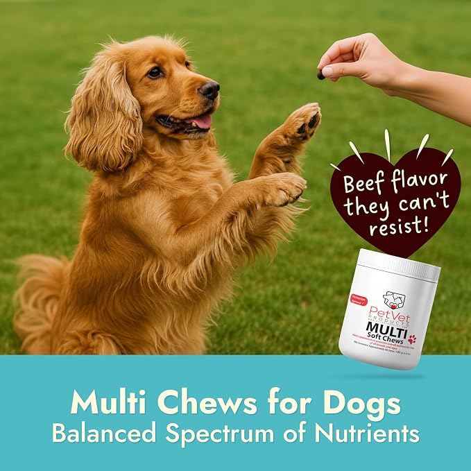 Pet Vet Multi Soft Chews for Dogs Beef Liver 60ct – 6-in-1 Support