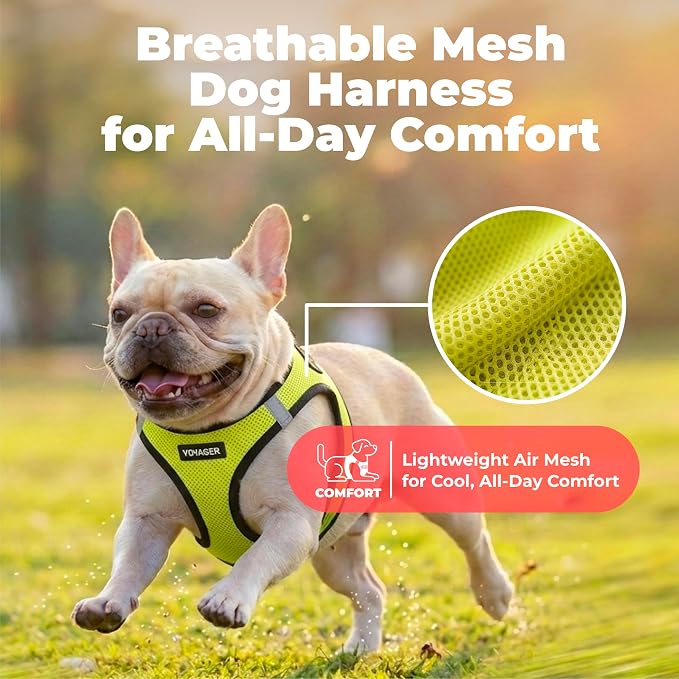 Voyager Step-in Air Dog Vest Harness - Lime Green/Black Trim, Large | 18- 20.5" in Chest, Reflective Bands, All Weather Breathable Air Mesh, Cats Compatible, Lightweight, Fast Drying