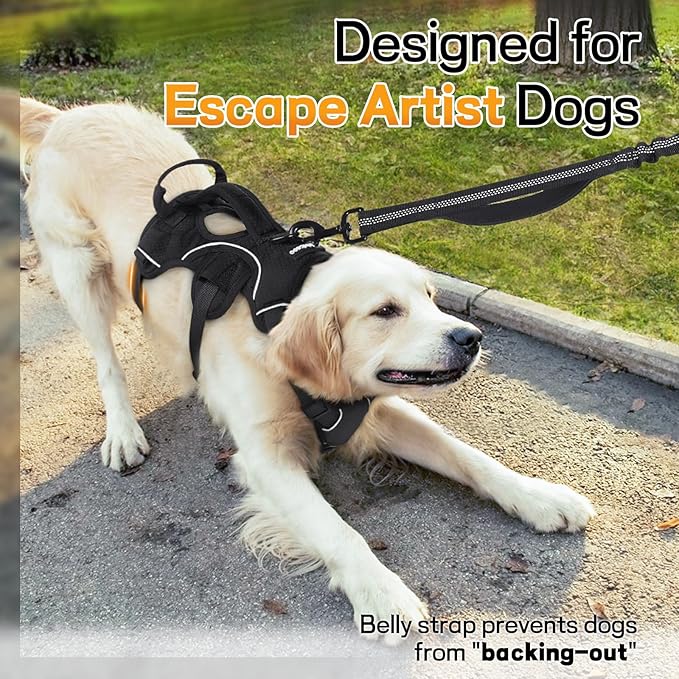 rabbitgoo Escape Proof Dog Harness for Large, No Pull with Lift Handle | No Escape, Full Soft Padded, Reflective Adjustable Vest, Leash Clip for Walking Hiking Training, Black, Large
