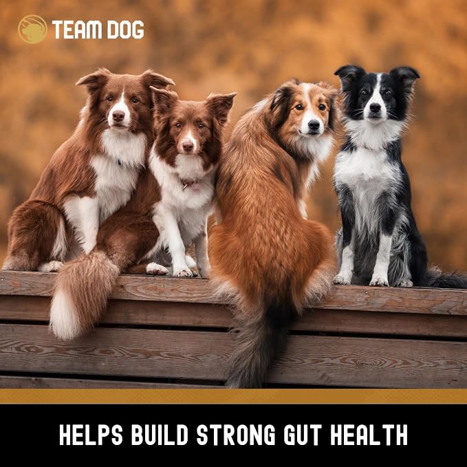 TEAM DOG Probiotic Chews for Dogs | Digestive Enzymes & Dog Probiotics for Yeast, Itchy Skin and Itchy Ears | for Allergies & Sensitive Stomachs | Promotes Digestive & Gut Health for Dogs | 120 Count