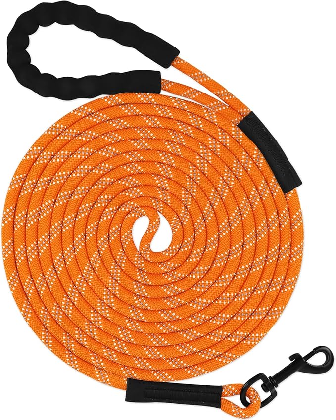 Taglory Long Dog Leash, 15FT 30FT 50FT 66FT, Training and Recall Leash with Comfortable Padded Handle for Large Medium Small Dogs Walking, Camping, Orange 30FT