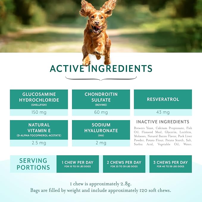 Resveratrol Chews Dog Supplement, Bacon Flavor, Small Breed