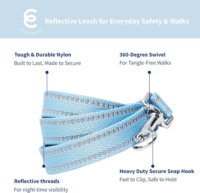 Blueberry Pet Matching Reflective Harness and Leash Set | Adjustable Pastel Vest with Lead for Dogs – Great Value Gift Set | Adjustable Baby Blue Vest for Small Breeds