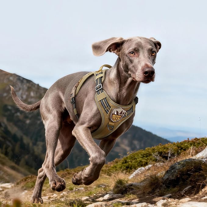 rabbitgoo Tactical Dog Harness for Large Dogs, No Pull Service Pet Vest | Military Molle System & Easy Control Handle, Adjustable and Reflective for Walking and Training, Brown, Large
