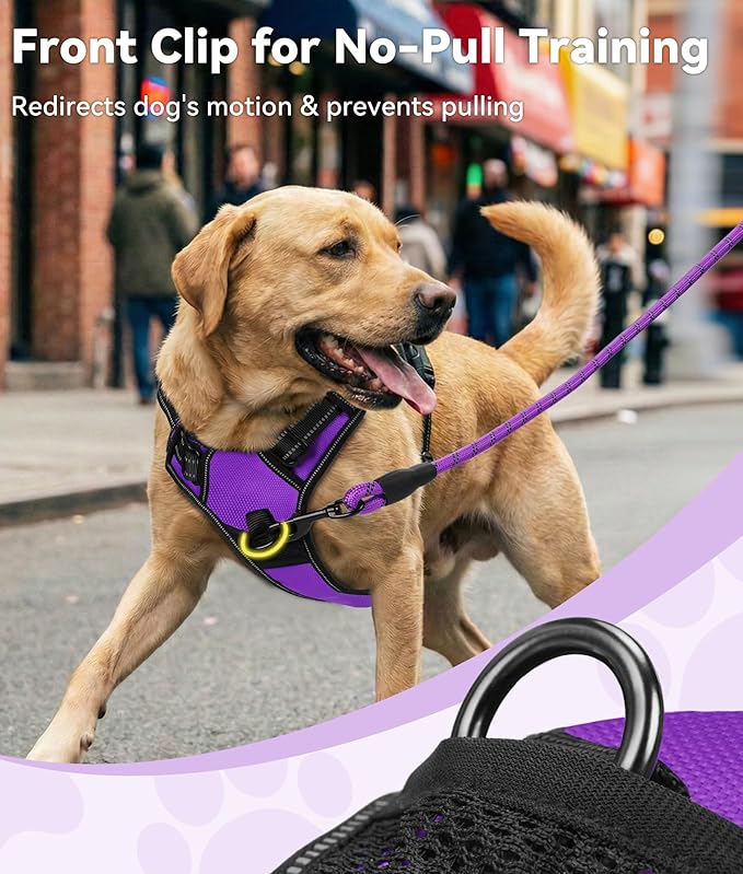 Joytale No Pull Dog Harness Medium Sized Dog, Front Clip, Purple | Grab Handle for Instant Control, Padded & Adjustable Vest, Sturdy Metal D-Rings, for Safe Training & Daily Walking