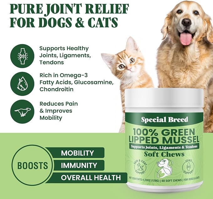Special Breed Green Lipped Mussel for Dogs & Cats - 60 Soft Chews - New Zealand Green Lipped Mussels - Natural Hip & Joint Supplement for Joints, Tendons, Ligaments, Muscles