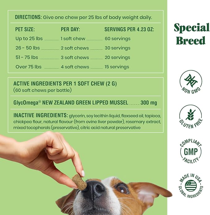 Special Breed Green Lipped Mussel for Dogs & Cats - 60 Soft Chews - New Zealand Green Lipped Mussels - Natural Hip & Joint Supplement for Joints, Tendons, Ligaments, Muscles