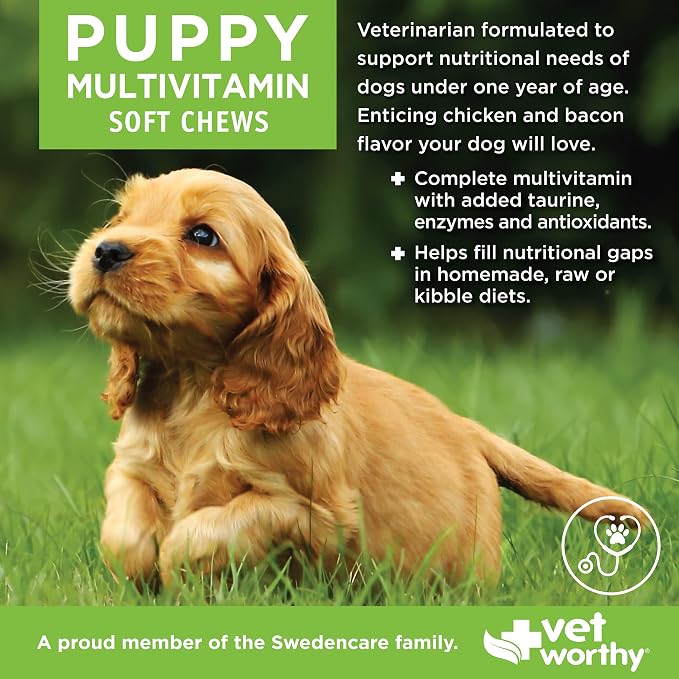 Vet Worthy Puppy Multi Soft Chews - Daily Multivitamin for Dogs - 60ct