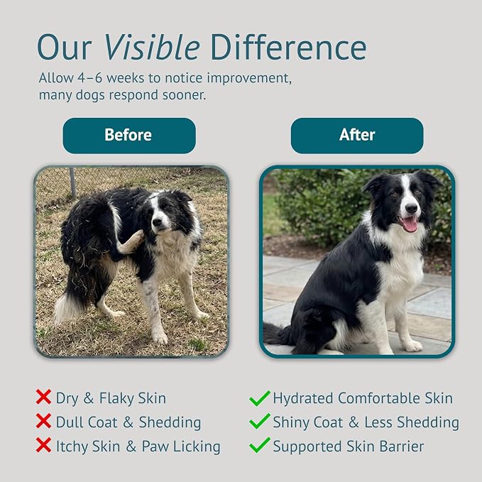 Dog Skin and Coat Supplement Chews - Omega-3 Fish Oil, EPA & DHA, Biotin, Vitamin A & D3 - Coat Shine, Skin Hydration, Shedding & Itch Relief - Made in USA - 60 Count