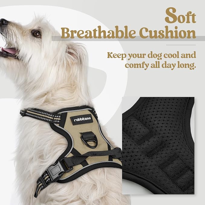 rabbitgoo Dog Harness No Pull with 2 Leash Clips, Adjustable Soft Padded, Reflective Oxford No Choke Pet Vest with Easy Control Handle for Puppy, Beige, XS | No Choke with Handle, Adjustable Soft Padded, Reflective, Easy Control for Walking, Beige, X-S...