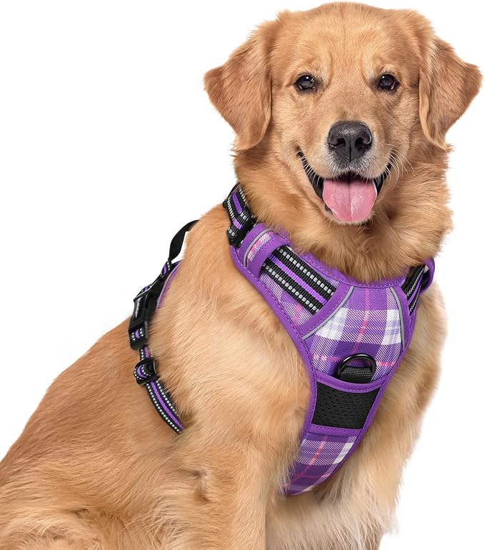 rabbitgoo Dog Harness, No Pull for Large Dogs with 2 Leash Clips, Pet Vest | No Choke with Handle, Adjustable Soft Padded, Reflective, Easy Control for Walking, Purple Plaid, X-Large