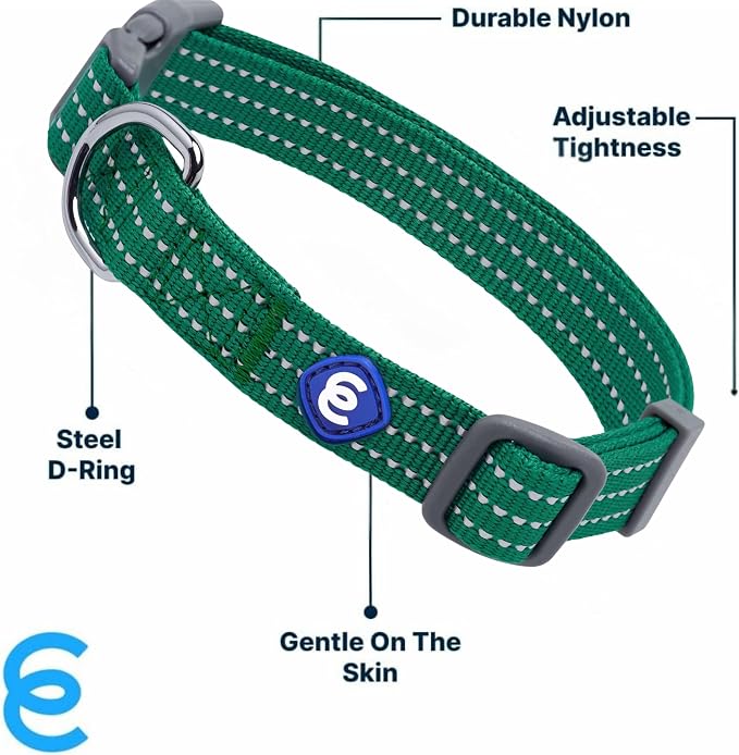 Blueberry Pet Essentials Reflective Better Basics Matching Dog Collar Leash Harness Set in Dark Green, Adjustable Collar with Harness & 4 ft Leash for Large Dogs