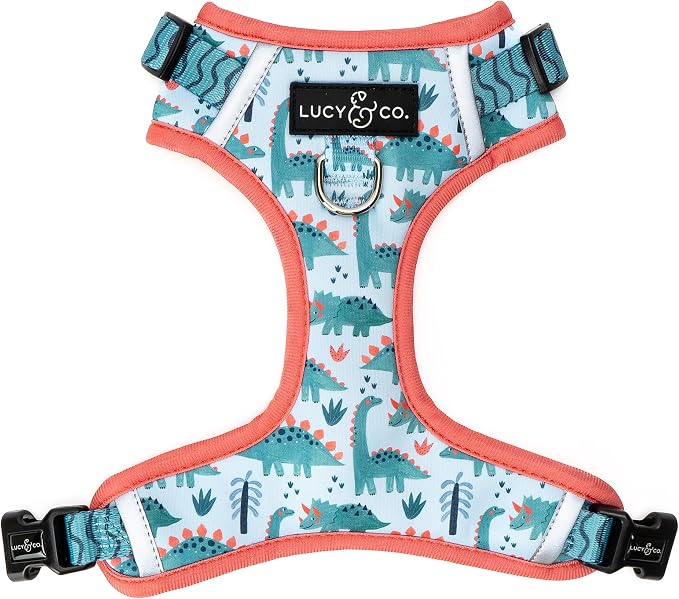 Lucy & Co. Cute No-Pull DinoROAR! Harness - Stop Pulling & Walk Easy - Harness Available in XS-XL for Small, Medium, and Large Dogs - DinoROAR! (Medium)