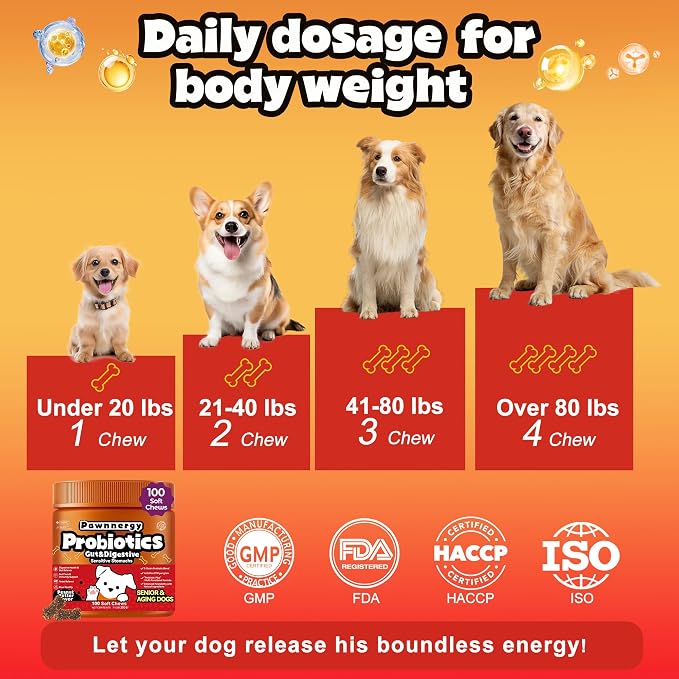 Probiotics for Dogs - Improve Gut Health, Digestive, Immunity, Yeast Balance, Solid Stool - with Prebiotics - Reduce Diarrhea, Gas, Bad Breath, Constipation, Allergy - Ideal for Senior Dogs (5+ Years)