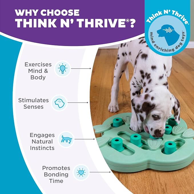 Outward Hound Nina Ottosson Puppy Hide N' Slide Dog Toy Treat Puzzle, 11.6" | Level 2 Intermediate, 14 Hidden Treat Compartments, Holds 1/4 Cup Kibble or Treats, Easy Clean, No BPA, Enrichment, Puppies