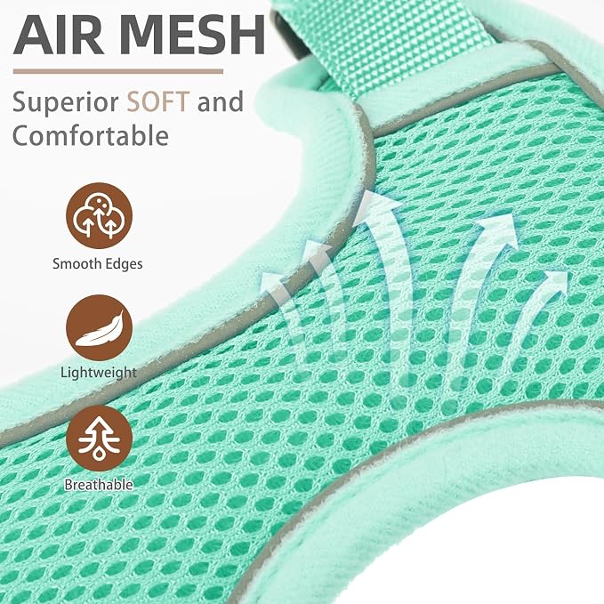 PUPTECK Dog Harness and Leash Set, No Pull Adjustable Pet Small Dog Harness, Reflective Soft Mesh Pet Vest, for Small Medium Dogs Walking, Green, M