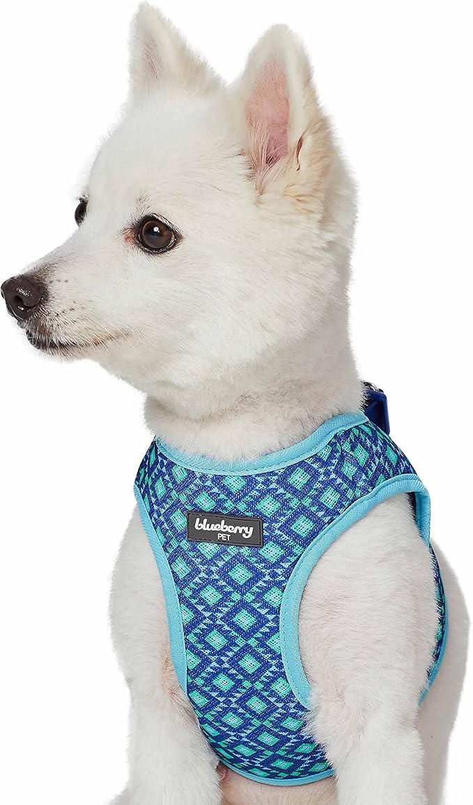 Blueberry Pet Southwestern Tribal Lozenges Stylish Green Dog Harness Vest, XS, Adjustable Harnesses for Puppies Small Dogs
